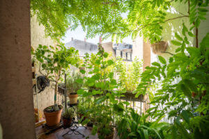 Balkon (Innenhof)