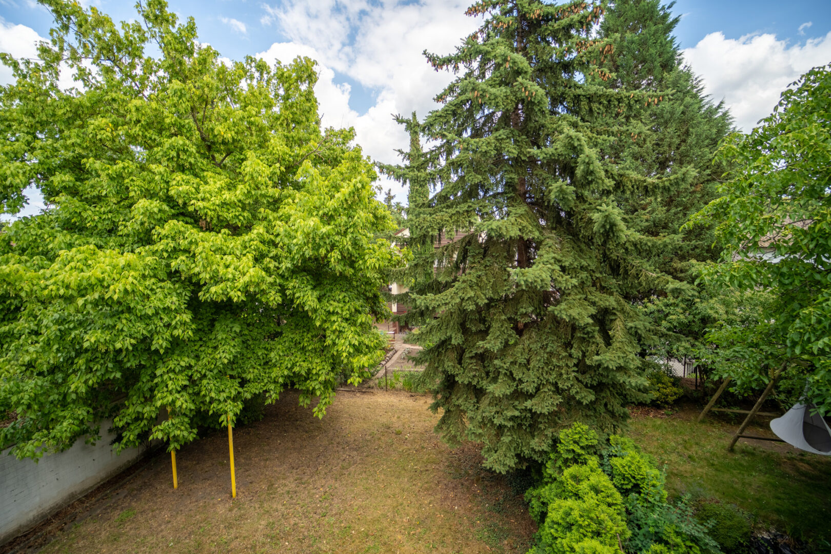 Blick in den garten